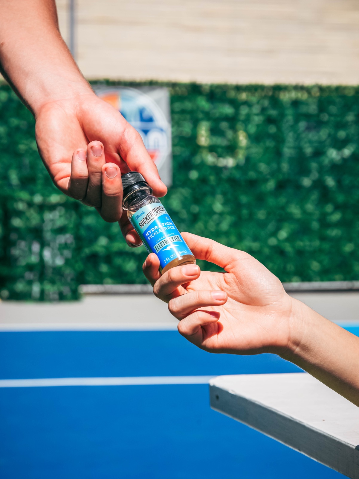 Sucker Punch Pickles