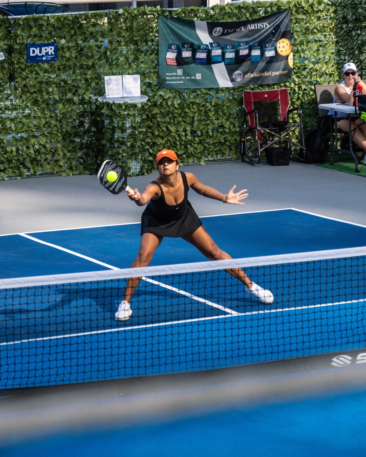 UT Longhorn Pickleball